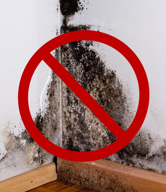 bez-bledow-with-stop